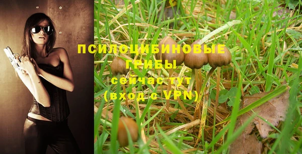 кокс Бородино