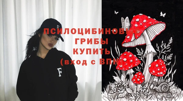бошки Верхний Тагил