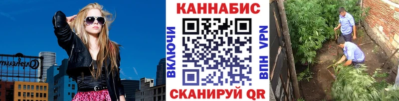 Купить где  Меленки  Бошки марихуана семена 